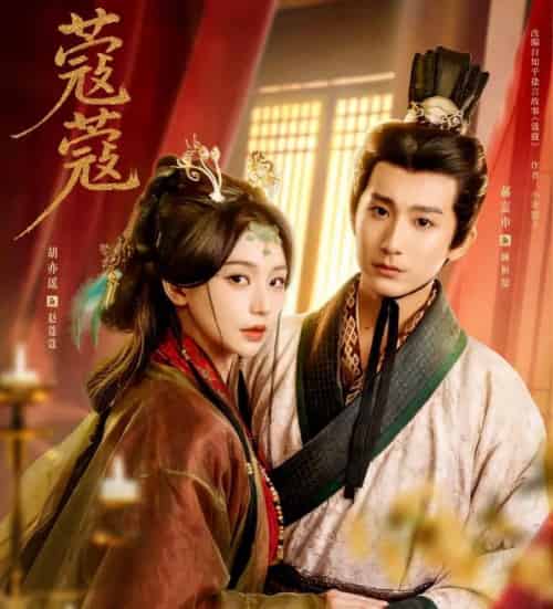 蔻蔻（68集全）郝富申＆胡亦瑶-搜外项目网