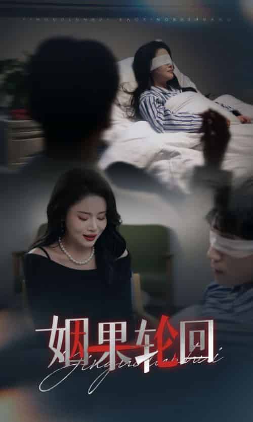 姻果轮回（30集全）陈思琦-搜外项目网