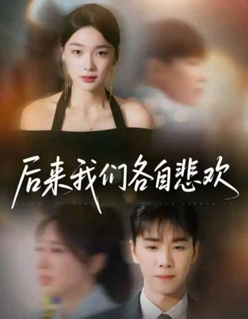 后来我们各自悲欢（70集）胡程耀＆金珊-搜外项目网