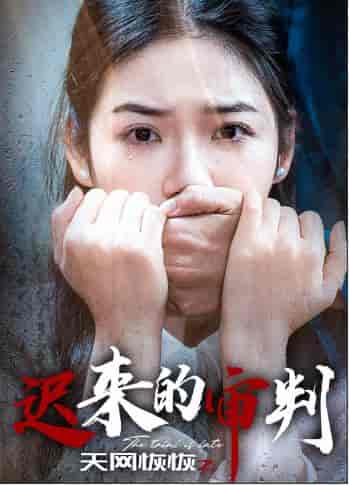 天网恢恢之迟来的审判（31集全）李艺璇-搜外项目网
