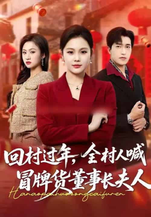 回村过年，全村人喊冒牌货董事长夫人（36集全）向云茜＆刘小龙-搜外项目网
