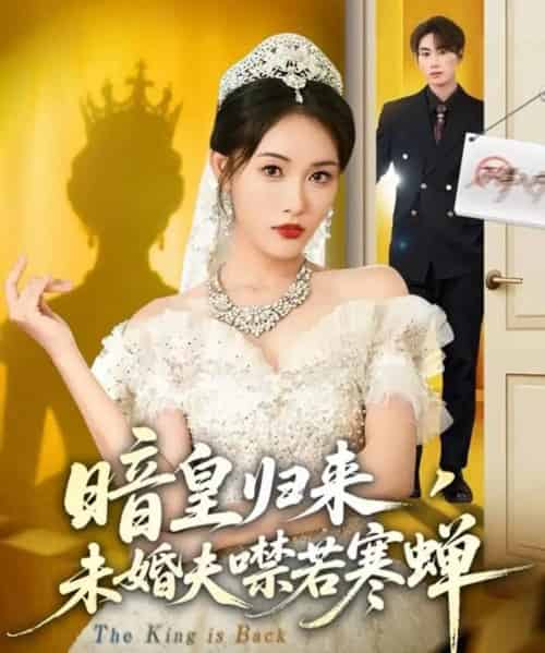 暗皇归来，未婚夫噤若寒蝉（65集全）刘星辰＆王浩-搜外项目网