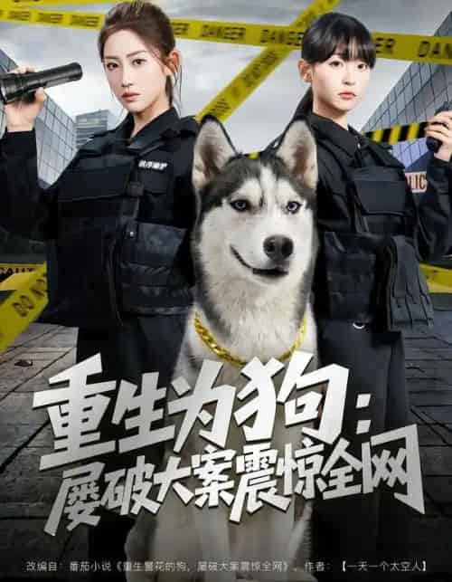 重生为狗:屡破大案震惊全网(80集全)王冰星&范经明-搜外项目网