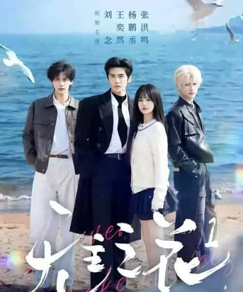 无主之花1（71集全）王奕然＆刘念＆杨鹏丞＆张洪鸣-搜外项目网
