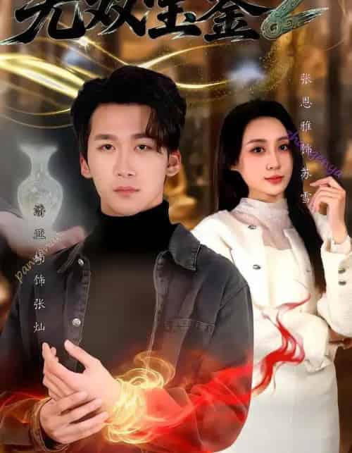 无双宝鉴2(80集全)潘亚楠&闫思柔-搜外项目网