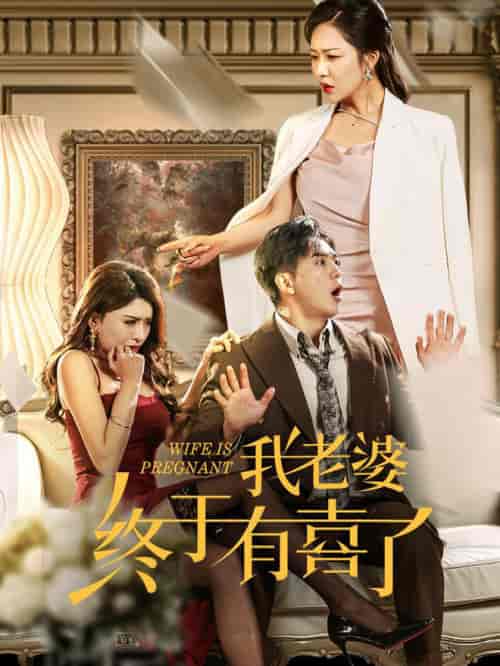 我老婆终于有喜了(40集全)钟莹玲-搜外项目网