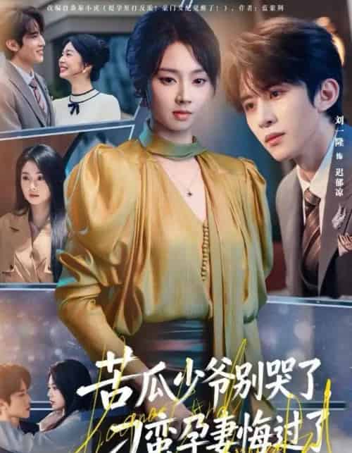 苦瓜少爷别哭了,刁蛮孕妻悔过了(83集全)刘一隆&张紫菡-搜外项目网