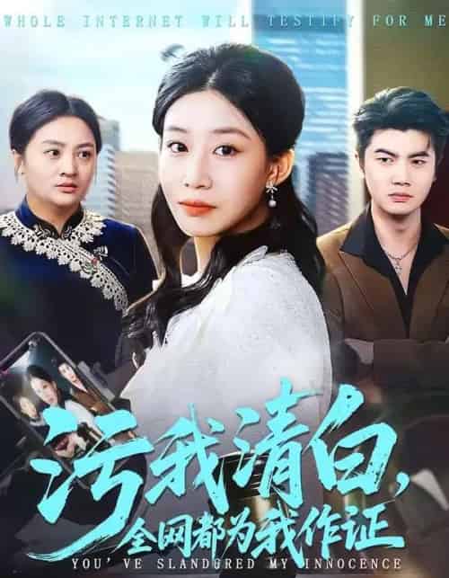 污我清白，全网都为我作证（95集全）白俊城＆发发-搜外项目网