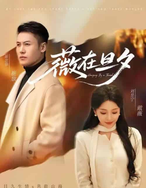 薇在旦夕（80集全）崔忠华＆刘昱宁-搜外项目网