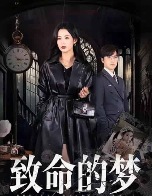 致命的梦（70集全）李岩松＆谭雯文-搜外项目网