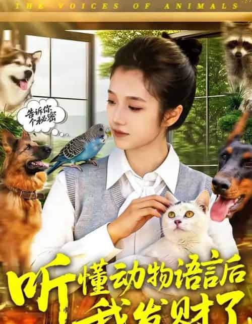 听懂动物语言后我发财了（85集全）攸灵-搜外项目网