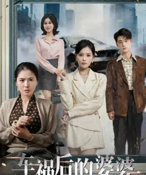 车祸后的婆婆（95集全）武帅康＆向云茜＆林俊诗-搜外项目网