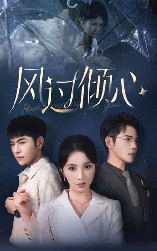 风过倾心（62集全）-搜外项目网