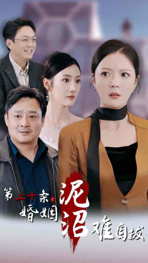 第二十条之婚姻沼泽难自拔（31集全）李明-搜外项目网