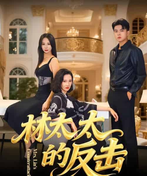 林太太的反击（69集全）李子园＆杨凌-搜外项目网