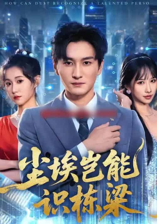 尘埃岂能识栋梁（65集全）甘欣然＆黄昱清＆苏格子-搜外项目网