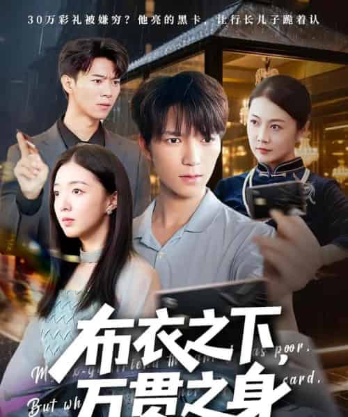 布衣之下万贯之身（74集）叶芸菲＆肖泽楷-搜外项目网