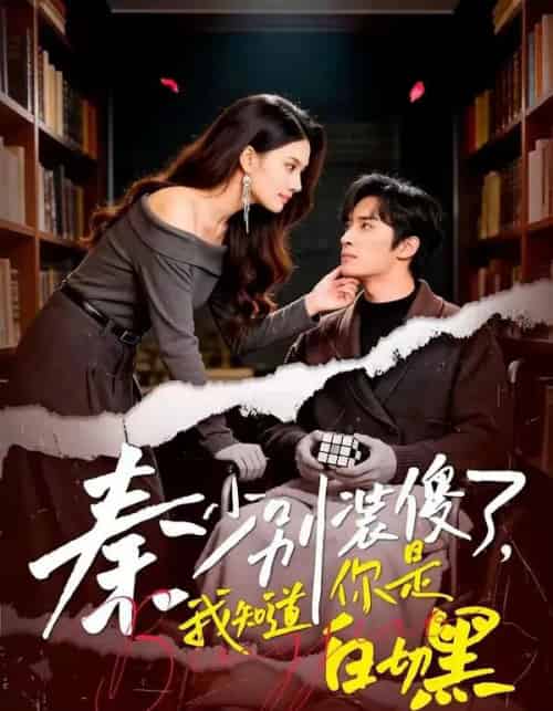 秦少别装傻了，我知道你是白切黑（60集全）王博＆赵文涓-搜外项目网