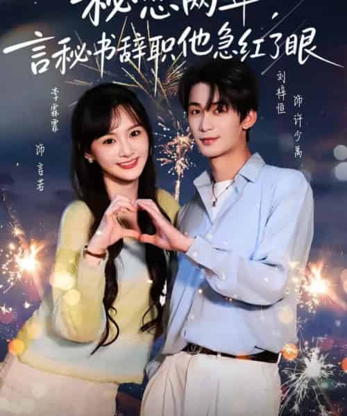 秘恋两年,言秘书辞职他急红了眼(80集全)刘梓恒&李霖霏-搜外项目网