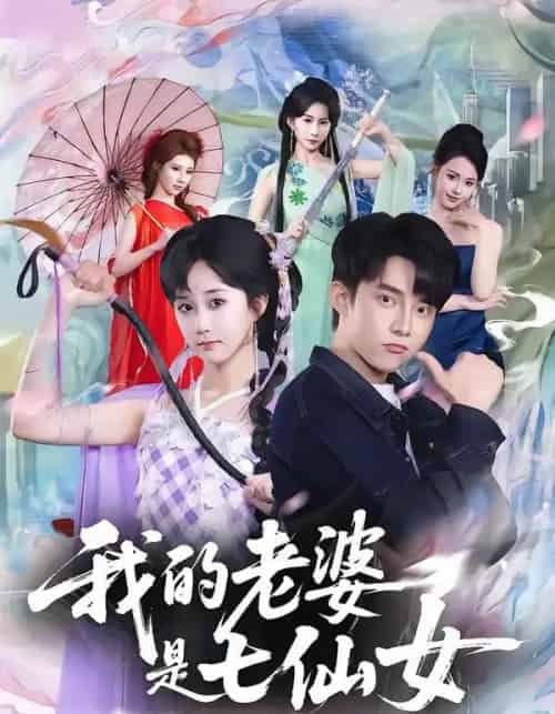 我的老婆是七仙女（57集全）委佳宇＆郇依心-搜外项目网