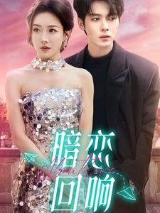 暗恋回响（100集全）卡戎＆孟璐-搜外项目网