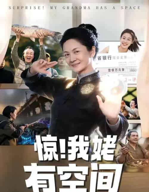 惊！我姥有空间（66集全）李敏＆炜平-搜外项目网