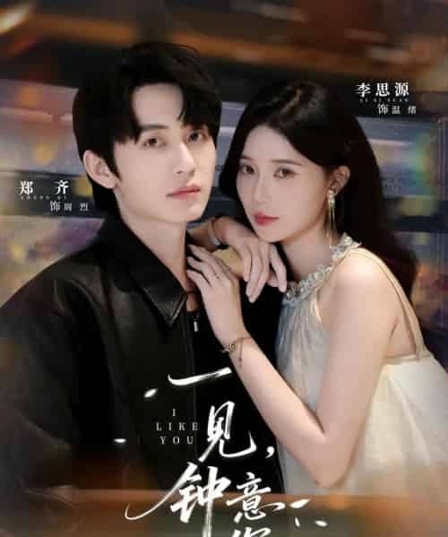 一见钟意你(80集全)郑齐&李思源-搜外项目网