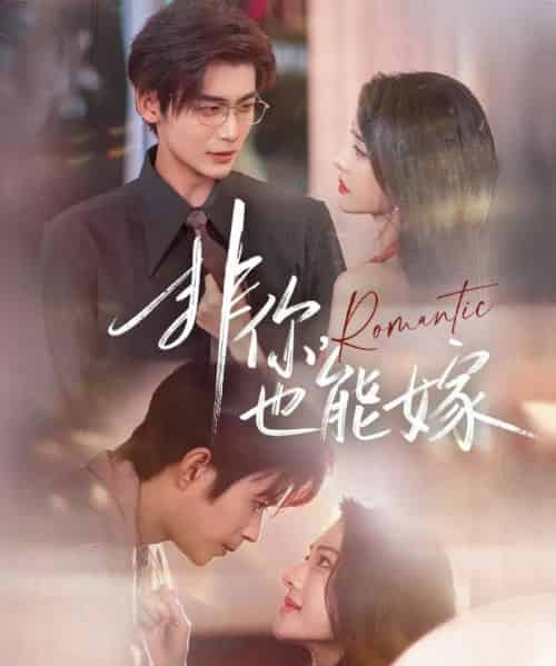 非你,也能嫁(61集全)刘允乐&曹渊&苏畅-搜外项目网