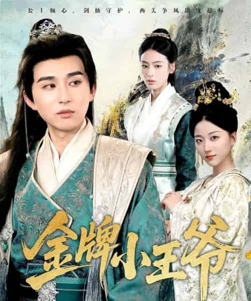 金牌小王爷（80集）潘非佯＆李文瑞-搜外项目网