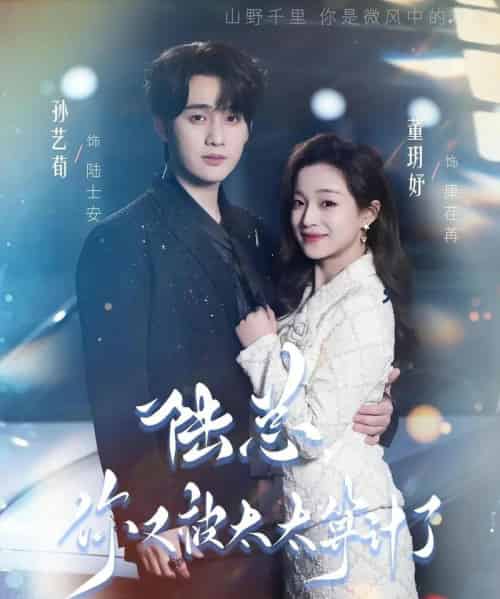 陆总，你又被太太算计了（70集全）孙艺荀＆董玥妤-搜外项目网