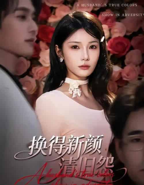 换得新颜清旧怨(58集全)穆森&夏炎-搜外项目网