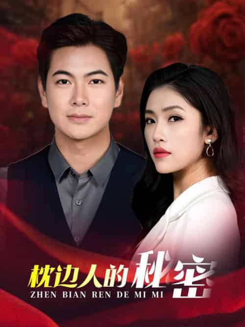 枕边人的秘密（38集全）骆虹宇-搜外项目网