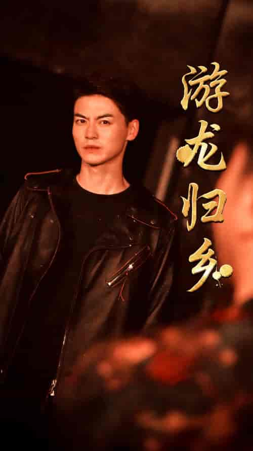 游龙归乡(60集)王惠-搜外项目网
