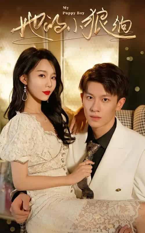 她的小狼狗&灿烂的风(60集全)冯伊洋&刘寒羽-搜外项目网