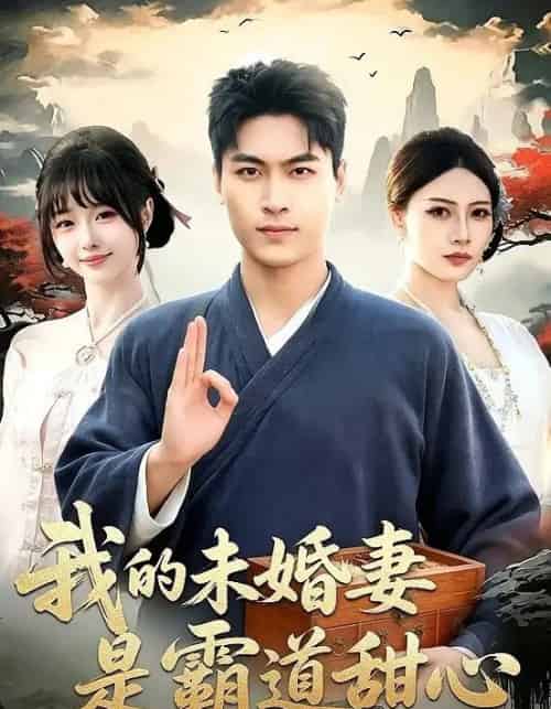 我的未婚妻是霸道甜心(69集全)刘雨昊&邰靖懿&沈欣悦-搜外项目网