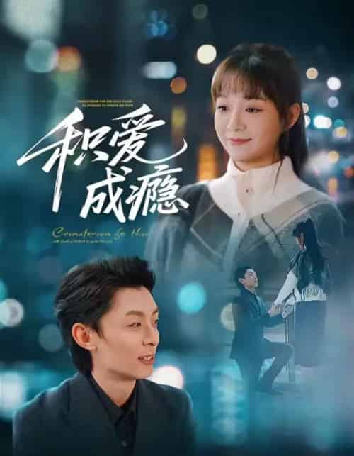 积爱成瘾（79集全）晓凡＆孙伟豪-搜外项目网