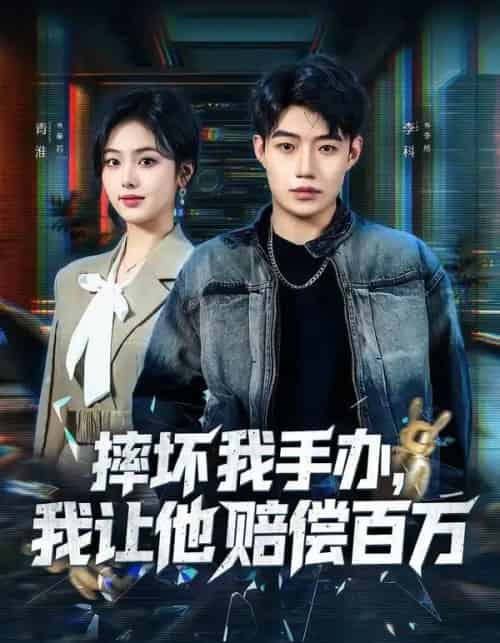 摔坏我手办,我让他赔偿百万(70集全)青淮&李科-搜外项目网