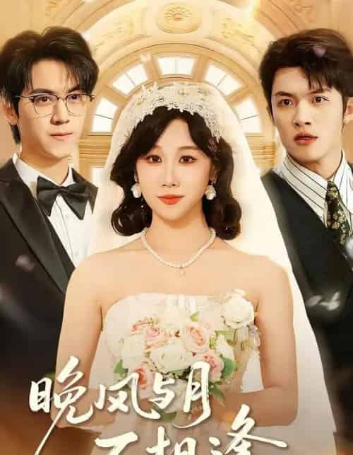 晚风与月不相逢（73集全）夏屿＆牟映竹-搜外项目网