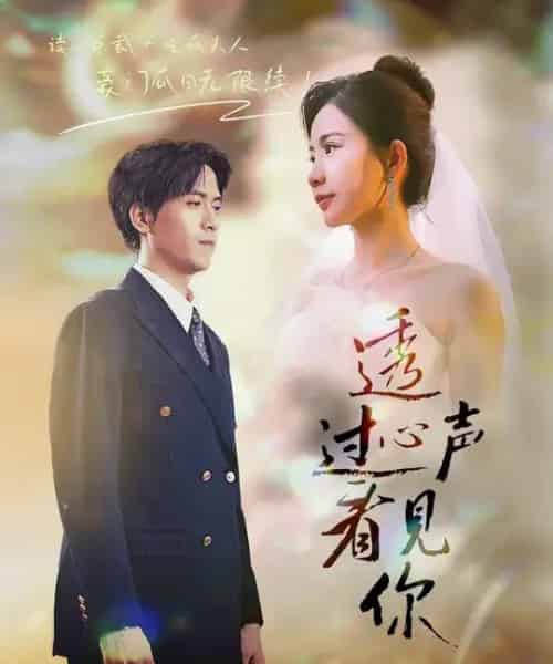 透过心声看见你(70集全)陆路&维尼-搜外项目网