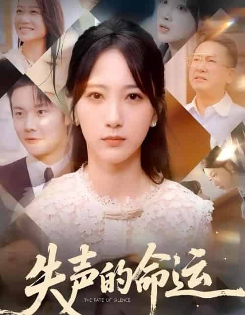 失声的命运（60集）瑞子＆高明君-搜外项目网