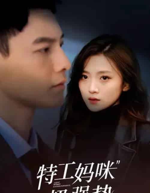 特工妈咪超强势（99集全）冯铭潮＆于金金-搜外项目网
