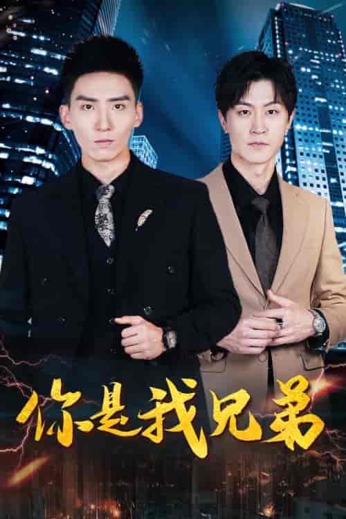 你是我兄弟（69集）范祺-搜外项目网