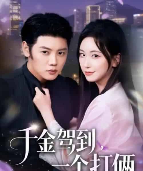 千金驾到，一个打俩（70集全）陈梓阳＆胡耀文-搜外项目网