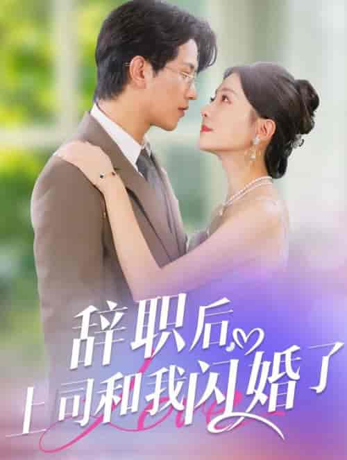 辞职后上司和我闪婚了（71集全）李刘朋＆李欣怡-搜外项目网