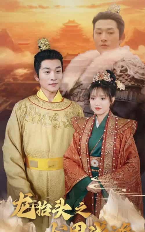 龙抬头之龙困浅滩（30集全）吴梦媛-搜外项目网