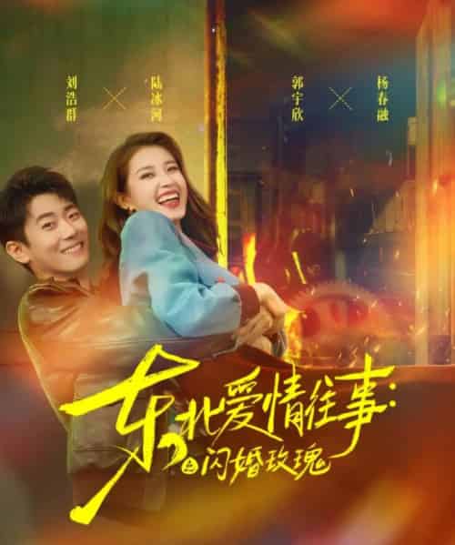 东北爱情往事闪婚玫瑰（89集）郭宇欣＆刘浩群-搜外项目网