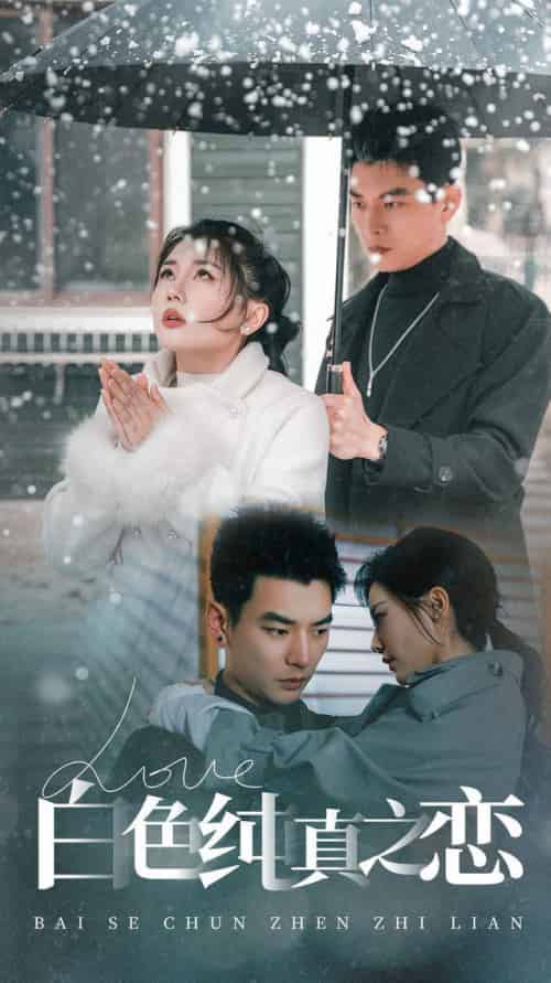 白色纯真之恋（60集全）杨川北＆李家园子-搜外项目网