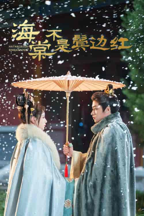 海棠不是鬓边红＆人生若只如初见（30集全）郭榕声＆马铭婕-搜外项目网