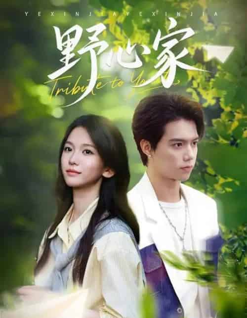 野心家（65集全）尤洋-搜外项目网