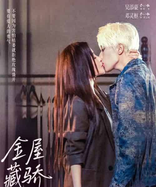 金屋藏骄（73集全）吴添豪＆邓灵枢-搜外项目网